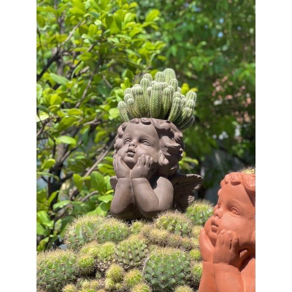 🌼 Chậu Đất Nung Cô Bé - Chàng Trai Trồng Sen đá, xương rồng trang trí vườn