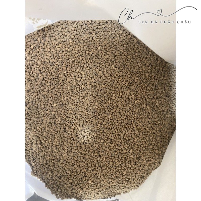 500Gr AKADAMA - HẠT RẢI MẶT TRỒNG SEN ĐÁ & XƯƠNG RỒNG